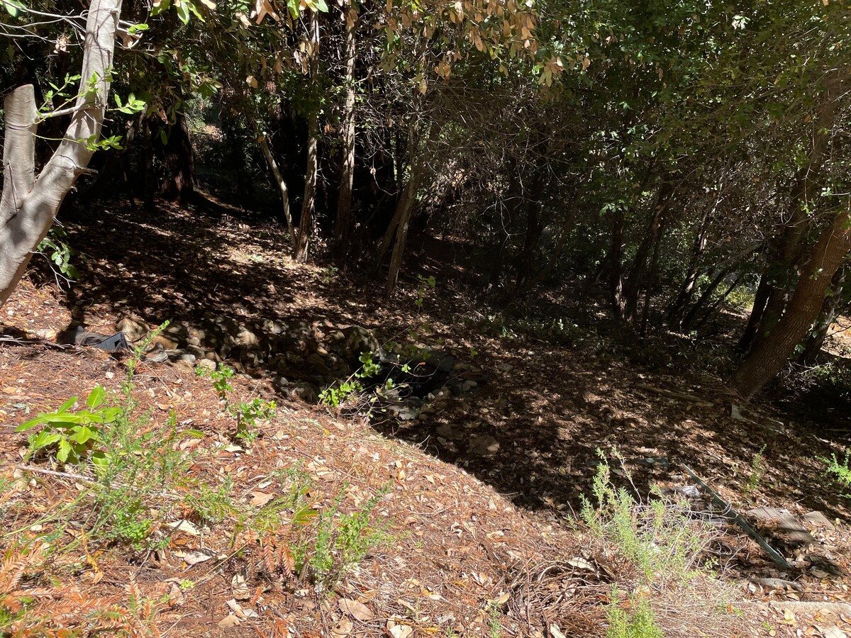 Forest Grounds & Exterior photo 3