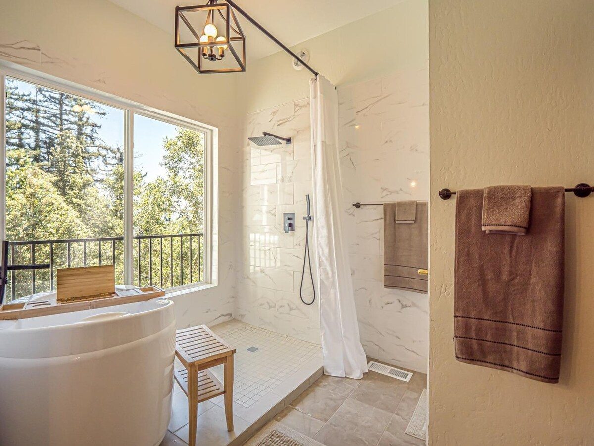 Golden autumn light through the redwood canopy at the retreat