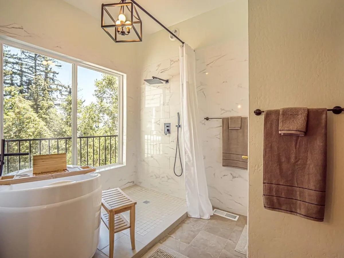 Dappled sunlight on the forest floor