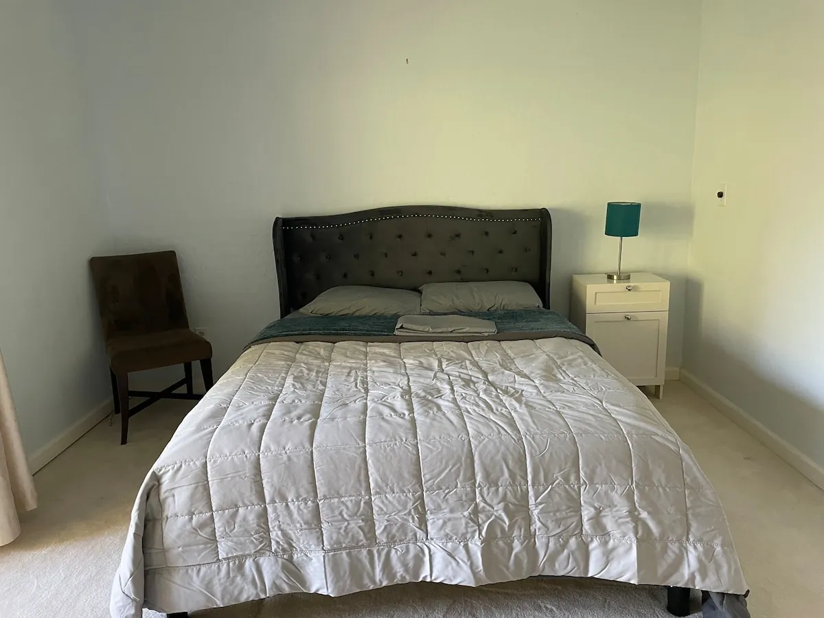 Side yard with native plants