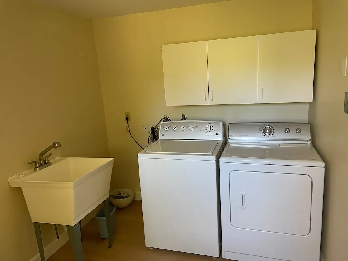 Wildflowers along the path