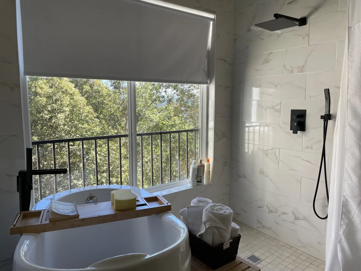 Backyard with mature trees and open space