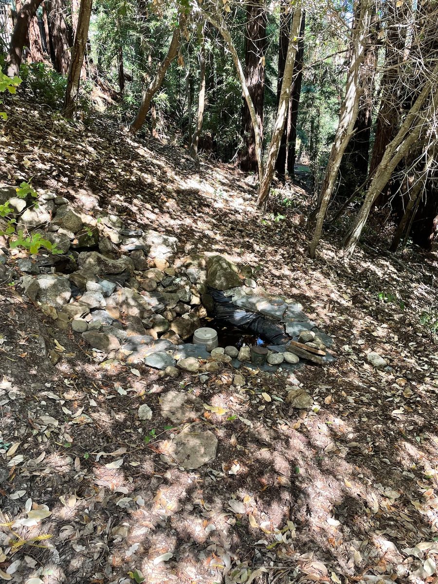 Stone fire pit area among the redwoods at The Crow's Nest Retreat