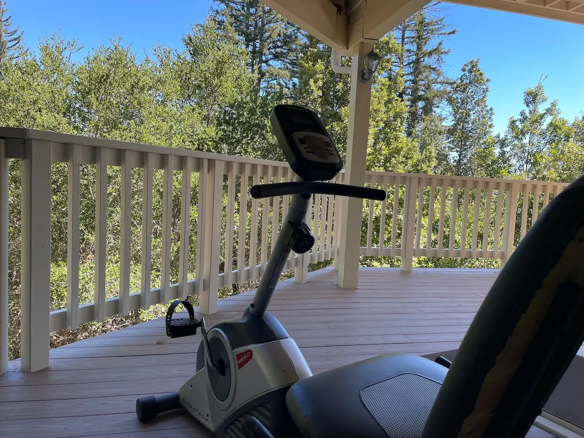 Garden path with stepping stones