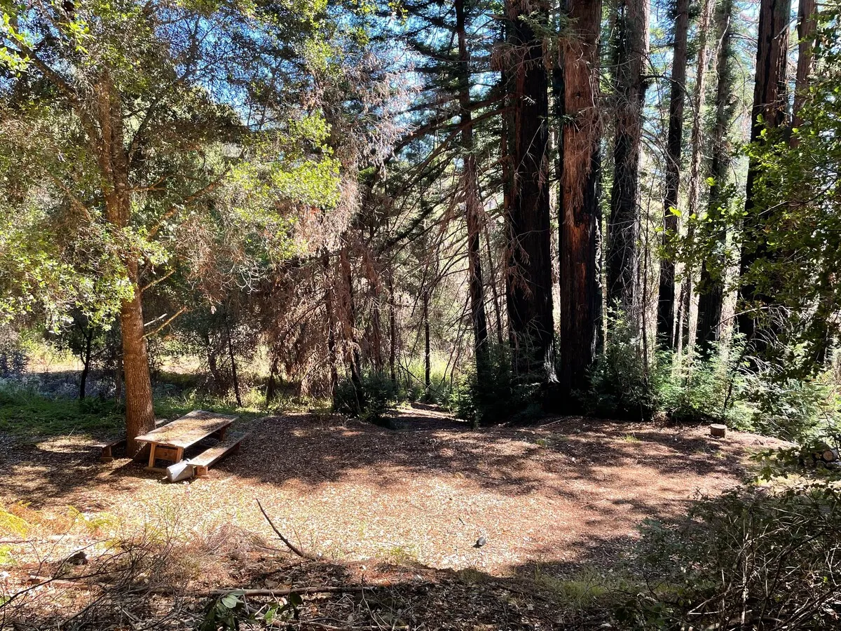 The Crow's Nest Retreat — photo 129