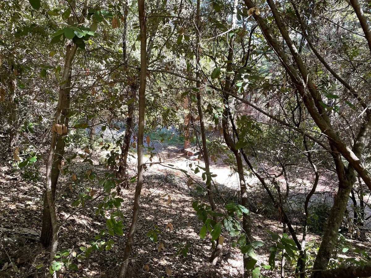 The Crow's Nest Retreat — photo 147