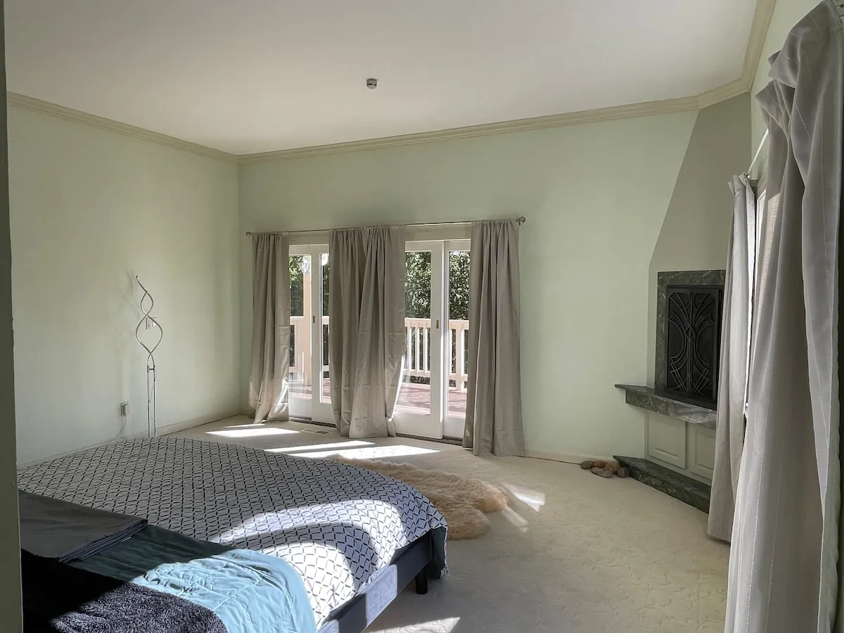 Sunset glow through the forest